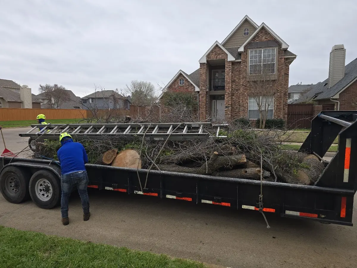 Expert Tree Removal with proper safety equipment in Drumright
